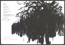 fau_7344-Thumbnail Image.jpg