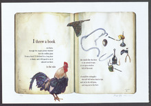 fau_7347-Thumbnail Image.jpg