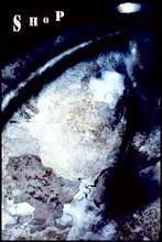 fau_7371-Thumbnail Image.jpg