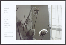 fau_7376-Thumbnail Image.jpg