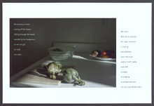 fau_7386-Thumbnail Image.jpg