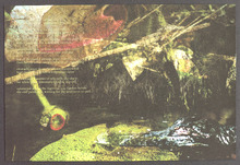 fau_7392-Thumbnail Image.jpg