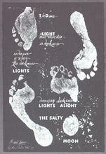 fau_7395-Thumbnail Image.jpg