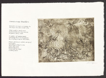 fau_7397-Thumbnail Image.jpg