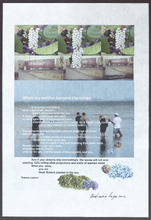 fau_7404-Thumbnail Image.jpg