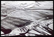 fau_7406-Thumbnail Image.jpg