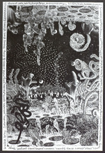 fau_7410-Thumbnail Image.jpg