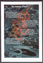 fau_7412-Thumbnail Image.jpg