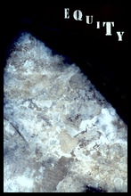 fau_7437-Thumbnail Image.jpg