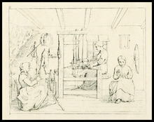 fau_7495-Thumbnail Image.jpg