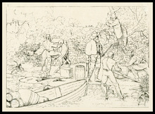 fau_7502-Thumbnail Image.jpg