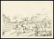 fau_7505-Thumbnail Image.jpg