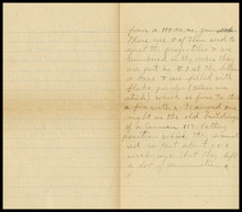 fau_7778-Thumbnail Image.jpg