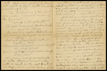 fau_7862-Thumbnail Image.jpg