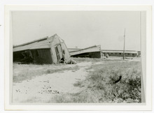 fau_80707-Thumbnail Image.jpg