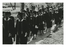 fau_81246-Thumbnail Image.jpg