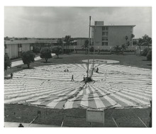 fau_81254-Thumbnail Image.jpg