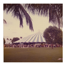 fau_81256-Thumbnail Image.jpg