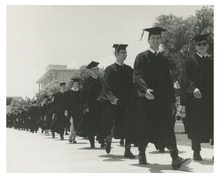 fau_81259-Thumbnail Image.jpg