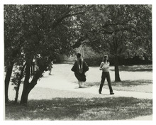 fau_81260-Thumbnail Image.jpg