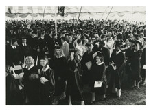 fau_81263-Thumbnail Image.jpg