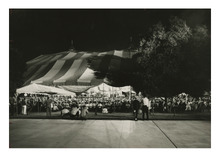 fau_81268-Thumbnail Image.jpg