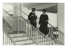 fau_81274-Thumbnail Image.jpg