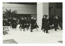 fau_81277-Thumbnail Image.jpg