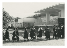 fau_81279-Thumbnail Image.jpg