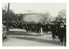 fau_81281-Thumbnail Image.jpg