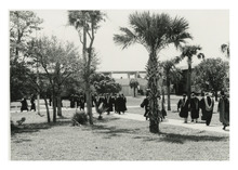 fau_81283-Thumbnail Image.jpg