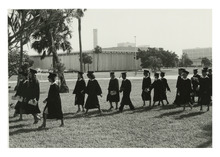 fau_81286-Thumbnail Image.jpg