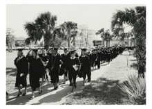 fau_81287-Thumbnail Image.jpg