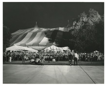 fau_81288-Thumbnail Image.jpg