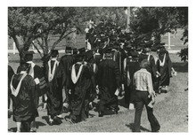 fau_81290-Thumbnail Image.jpg