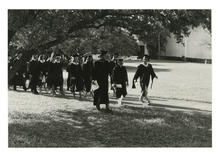 fau_81302-Thumbnail Image.jpg