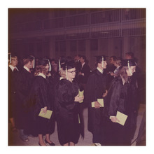 fau_81439-Thumbnail Image.jpg