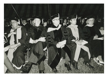 fau_81447-Thumbnail Image.jpg