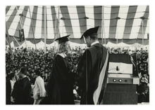 fau_81459-Thumbnail Image.jpg