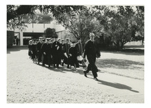 fau_81465-Thumbnail Image.jpg