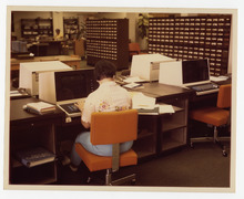 fau_81653-Thumbnail Image.jpg