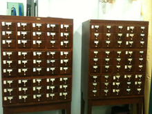 fau_81673-Thumbnail Image.jpg