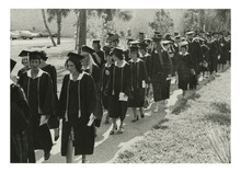 fau_81861-Thumbnail Image.jpg