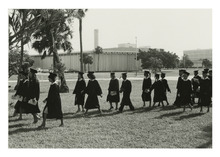 fau_81868-Thumbnail Image.jpg