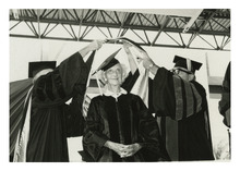 fau_81871-Thumbnail Image.jpg