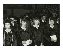 fau_81892-Thumbnail Image.jpg