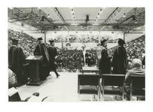 fau_81893-Thumbnail Image.jpg