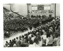 fau_81896-Thumbnail Image.jpg