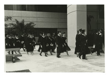 fau_81921-Thumbnail Image.jpg