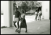 fau_82027-Thumbnail Image.jpg